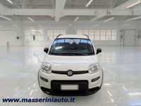 Usata Fiat Panda City Life 70 CV (51 kW) 2021 Bianco Utilitaria