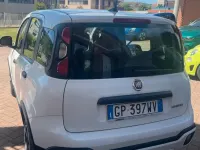 Usata Fiat Panda Cross Cross 69 CV (50 kW) 2023 Bianco Utilitaria