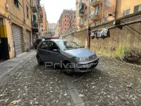 Usata Fiat Punto Classica 60 CV (44 kW) 2009 Bluazzurro Utilitaria