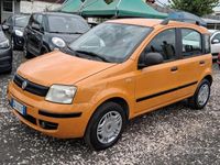 Usata Fiat Panda 60 CV (44 kW) 2009 Utilitaria
