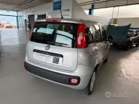 Usata Fiat Panda Easy 69 CV (50 kW) 2017 Grigio Utilitaria