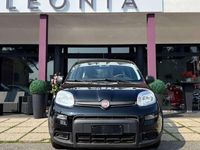 Usata Fiat Panda S 69 CV (50 kW) 2024 Nero Berlina