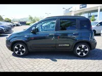 Usata Fiat Panda Cross Cross 2025 Verde met Utilitaria
