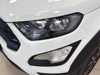 Usata Ford Ecosport Active 125 CV (91 kW) 2022 Bianco SUV
