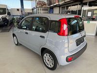 Usata Fiat Panda Easy 69 CV (50 kW) 2018 Grigio Utilitaria