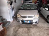 Usata Fiat Panda 4x4 60 CV (44 kW) 2005 Grigio Utilitaria