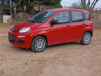 Usata Fiat Panda Lounge 69 CV (50 kW) 2019 Rosso Utilitaria