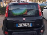 Usata Fiat Panda 2024 Nero Utilitaria