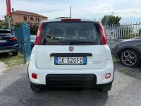 Usata Fiat Panda Cross 69 CV (50 kW) 2022 Bianco Utilitaria