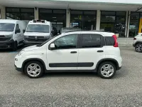 Usata Fiat Panda S 69 CV (50 kW) 2023 Bianco Utilitaria