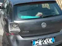Usata VW Polo 69 CV (50 kW) 2011 Grigio Utilitaria