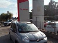 Usata Fiat Panda S 70 CV (51 kW) 2022 Grigio Utilitaria