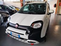 usata Fiat Panda Cross 1.0 FireFly S&S Hybrid