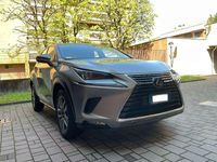 Usata Lexus NX300h Executive Line 197 CV (144 kW) 2018 Grigio SUV
