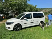 Usata VW Caddy 150 CV (110 kW) 2020 Bianco Monovolume