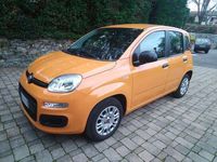 usata Fiat Panda 1.2 Pop 5 POSTI - OK PER NEOPATENTATI