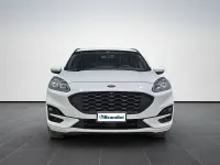 Usata Ford Kuga ST-Line X 120 CV (88 kW) 2023 Bianco SUV