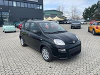 usata Fiat Panda Panda NUOVA My23 1.2 69cv EasypowerGpl