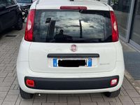Usata Fiat Panda Easy 69 CV (50 kW) 2021 Other Utilitaria