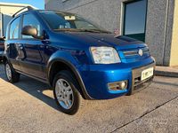 Usata Fiat Panda 4x4 69 CV (50 kW) 2010 Blu Utilitaria