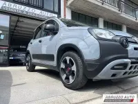 Usata Fiat Panda Cross Cross 71 CV (52 kW) 2021 Grigio Utilitaria