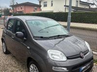 Usata Fiat Panda City Life 69 CV (50 kW) 2021 Other Utilitaria