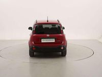 Usata Fiat Panda Cross Cross 71 CV (52 kW) 2025 Rosso Utilitaria