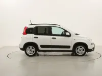 Usata Fiat Panda City Life 70 CV (51 kW) 2023 Biancobianco Utilitaria