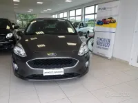 Usata Ford Fiesta Business Edition 86 CV (63 kW) 2020 Grigio Utilitaria