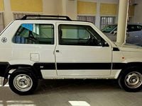 Usata Fiat Panda 4x4 Climbing 54 CV (39 kW) 2002 Bianco Utilitaria