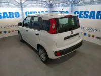 Nuova Fiat Panda Pop 65 CV (47 kW) 2026 Bianco gelato (pastello) Utilitaria