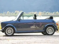 Usata Austin Mini 44 CV (32 kW) 1989 Cabrio