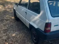Usata Fiat Panda Young 39 CV (28 kW) 1998 Bianco Utilitaria