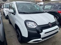 usata Fiat Panda 4x4 1.0 FireFly S&S Hybrid 70CV