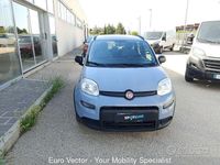 Usata Fiat Panda City Life 69 CV (50 kW) 2022 Grigio silverstone Utilitaria