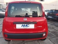 usata Fiat Panda Cross 1.0 FireFly S&S Hybrid City usato