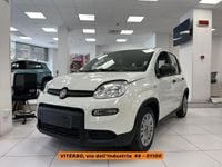 Usata Fiat Panda S 70 CV (51 kW) 2024 Bianco Utilitaria