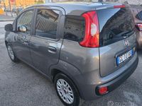Usata Fiat Panda Easy 69 CV (50 kW) 2020 Grigio Utilitaria