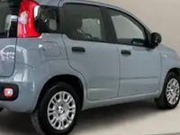Usata Fiat Panda 70 CV (51 kW) 2021 Grigio Utilitaria