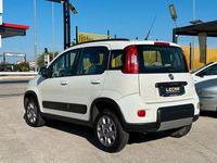 Usata Fiat Panda 4x4 S 75 CV (55 kW) 2014 Bianco Utilitaria