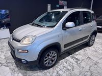 Usata Fiat Panda 4x4 S 95 CV (69 kW) 2017 Grigio Utilitaria