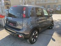 usata Fiat Panda Cross 1.0 1.0 FireFly S&S Hybrid