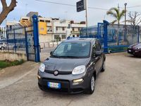 usata Fiat Panda 1.0 FireFly S&S Hybrid del 2022