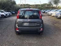 Usata Fiat Panda City Life 70 CV (51 kW) 2023 Grigio Utilitaria