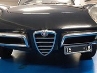 usata Alfa Romeo Spider OSSO DI SEPPIA 1.600 ITALIANO DA SEMPRE