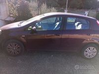 usata Fiat Punto Evo Punto Evo 1.2 5 porte Active