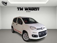 Usata Fiat Panda 80 CV (58 kW) 2020 Bianco Utilitaria