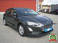 usata Ford Focus Focus1.0 ecoboost Titanium - PRONTA CONSEGNA