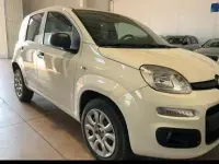 Usata Fiat Panda 80 CV (58 kW) 2015 Utilitaria