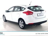 usata Ford Focus 1.5 EcoBlue 95 CV 5p. usato